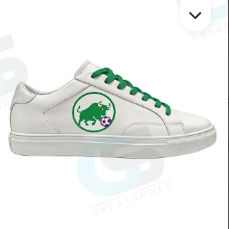 sneakers baskets chaussures